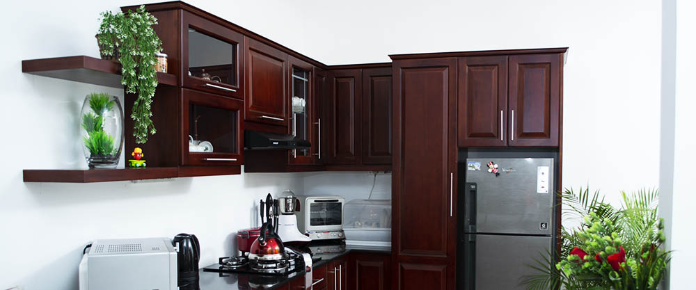Project-pantry-cupboards-pantry-cupboard-designs-pantry-designs-door-design-windows-and-doors-furniture-kitchen-pantry-full-6-1